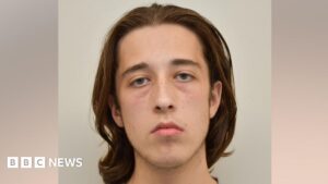 Neo-Nazi who planned gun attack jailed after MI5 sting