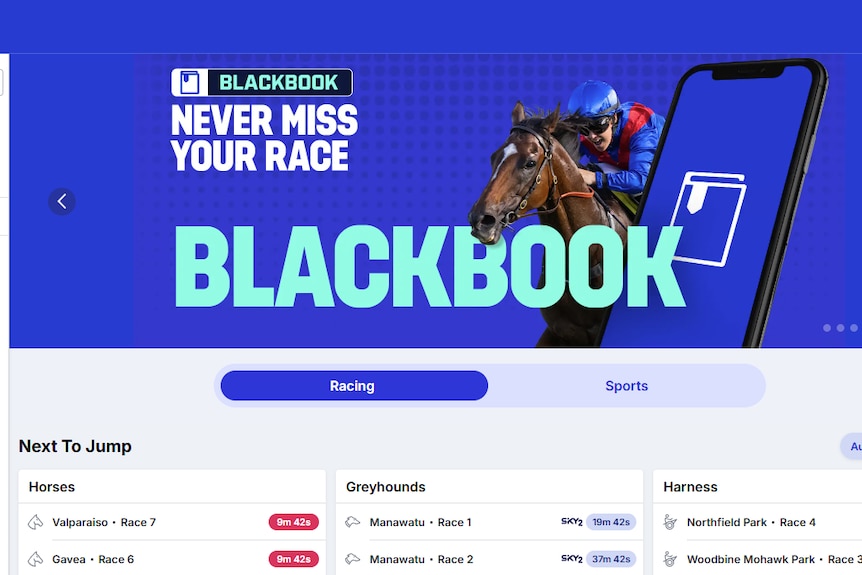 A screenshot of a website showing a gambling advertisement
