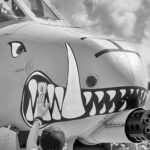 Propaganda Fail: IRGC’s New Israel Hit Is Just Old American A-10 Footage