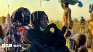 Sudan’s RSF committed crimes against humanity in el-Fasher, Amnesty says