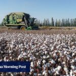 US adds 43 Chinese companies to Uygur forced labour blacklist