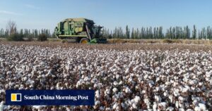 US adds 43 Chinese companies to Uygur forced labour blacklist