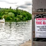 All of England’s rivers and lakes polluted with chemicals, officials say