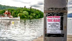 All of England’s rivers and lakes polluted with chemicals, officials say