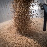 China buys at least 10 more cargoes of US soybeans, traders say