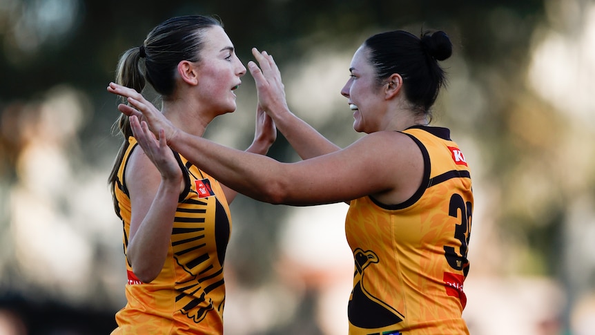 Two Hawthorn AFLW players clasp hands in celebration after a goal.