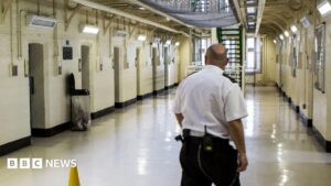 Early release scheme risks more serious crimes, probation chief inspector warns