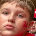 Family ‘devastated’ as hit-and-run driver who killed boy, 13, to have early prison release