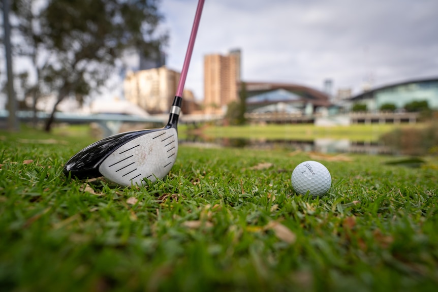 A golf club and ball on the banks of the River Torrens in Adelaide.