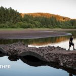 More areas of UK likely to move into drought as fifth heatwave builds