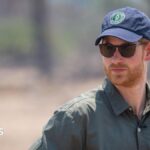 Prince Harry steps down from African wildlife charity board
