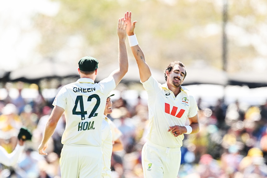 Two cricketers smile and high five in celebration of a wicket.