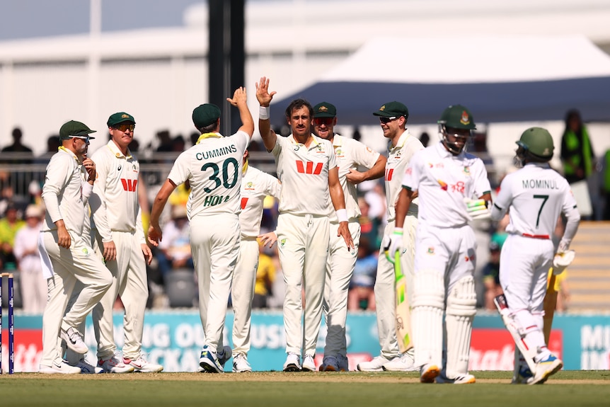 Mitch Starc and Australia celebrate