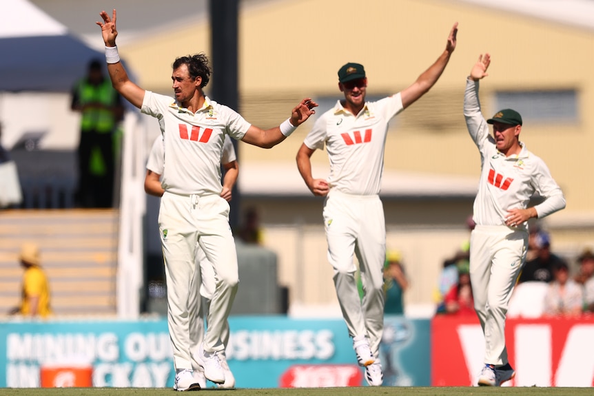 Mitch Starc holds up his hands