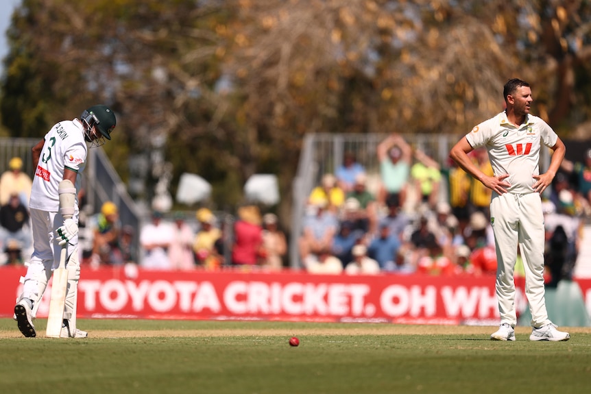 A cricketer stands with hands on hips, looking unhappy