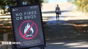 Temporary ban on sale of disposable BBQs over wildfire risk