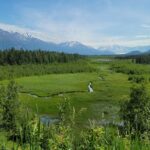 This Is What a Heat Wave in Alaska Looks Like