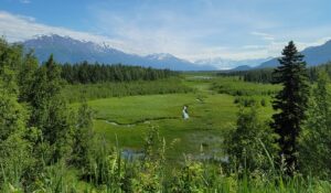 This Is What a Heat Wave in Alaska Looks Like