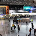 Two German airport workers die of malaria from mosquito on plane