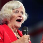 Widdecombe police reopen investigation into incident at Farage’s home, BBC understands