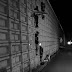 Zacatecas: Between Extortion and a Drug-Run Government