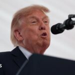 A united Ireland would be ‘fantastic’ says Trump during Irish visit