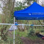 Baby girl dies while camping with family in woods
