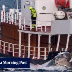 Iceland’s whaling ban plan threatens to leave Japan alone in defending industry