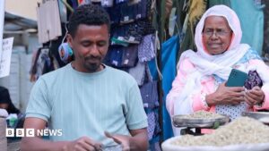 Tigray capital ‘out of cash’ as fighting escalates, resident tells BBC