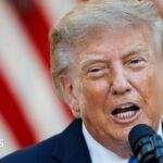 Trump hints US would not back UK over Falkland Islands due to lack of Iran war support