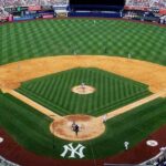 Yankee Stadium Sicko Charged — It Would Appear That He’s Suffering From a Severe Case of TDS