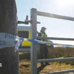 Boy, 16, and 80-year-old man die in light aircraft crash near Loch Lomond