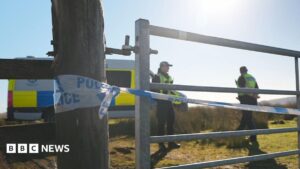 Boy, 16, and 80-year-old man die in light aircraft crash near Loch Lomond