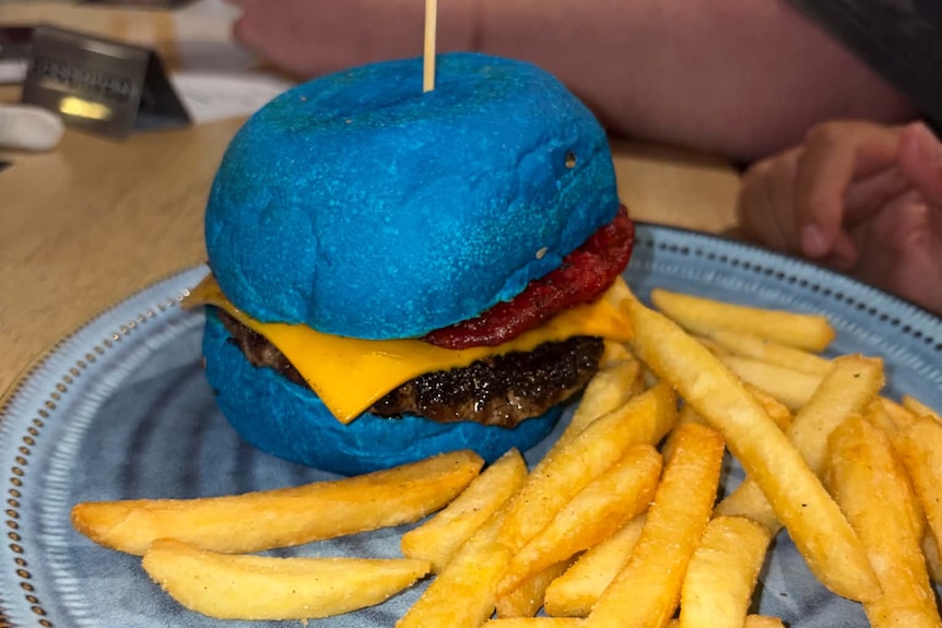 A burger with blue buns on a plate with chips.