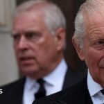King’s funding for Andrew not to be used for legal action against police