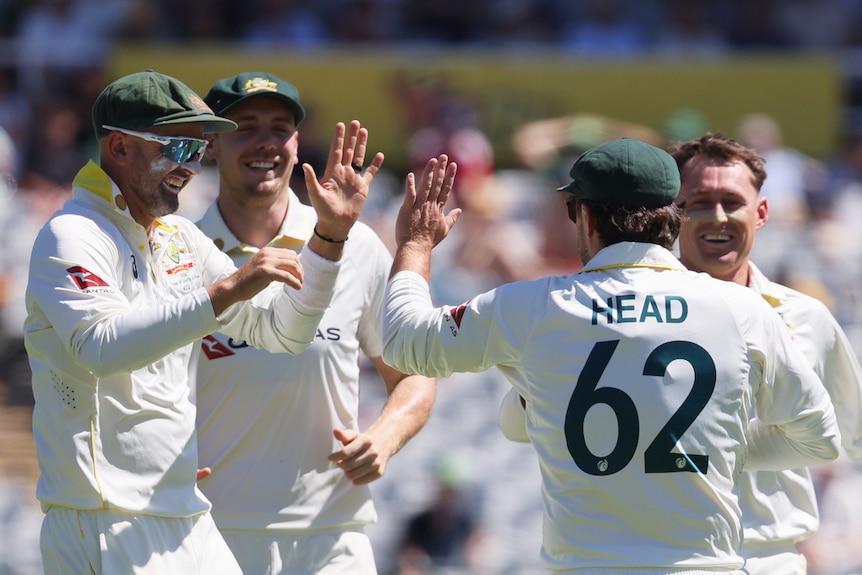 Australia celebrates a wicket