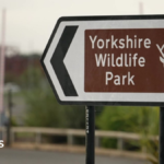 Man dies after tiger attack at wildlife park