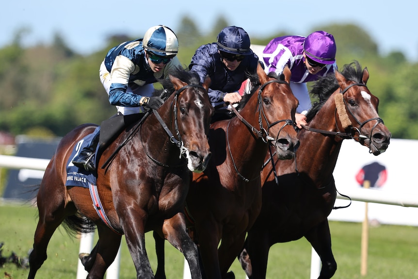 Three horses race to the line side by side.