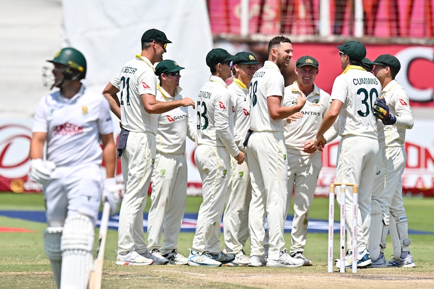 A group of cricketers celebrate a wicket