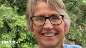 Swimmer, 65, killed in shark attack off South Africa’s east coast