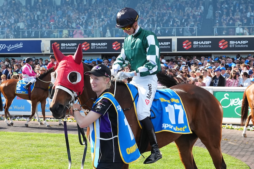 Jye McNeil, in green and white silks, with chequered sleeves, rides Ohope Wins in the mounting yard.