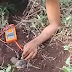 Video Shows CJNG Member Burying Landmine in Apatzingán, Michoacán